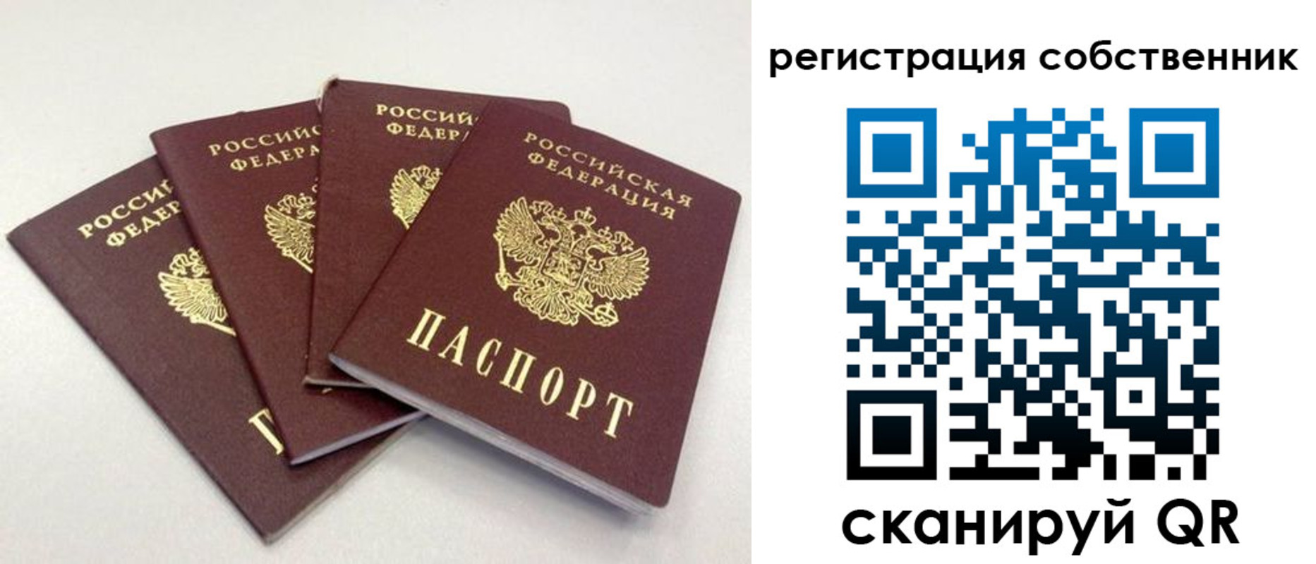 прописка для школы в Петрозаводске